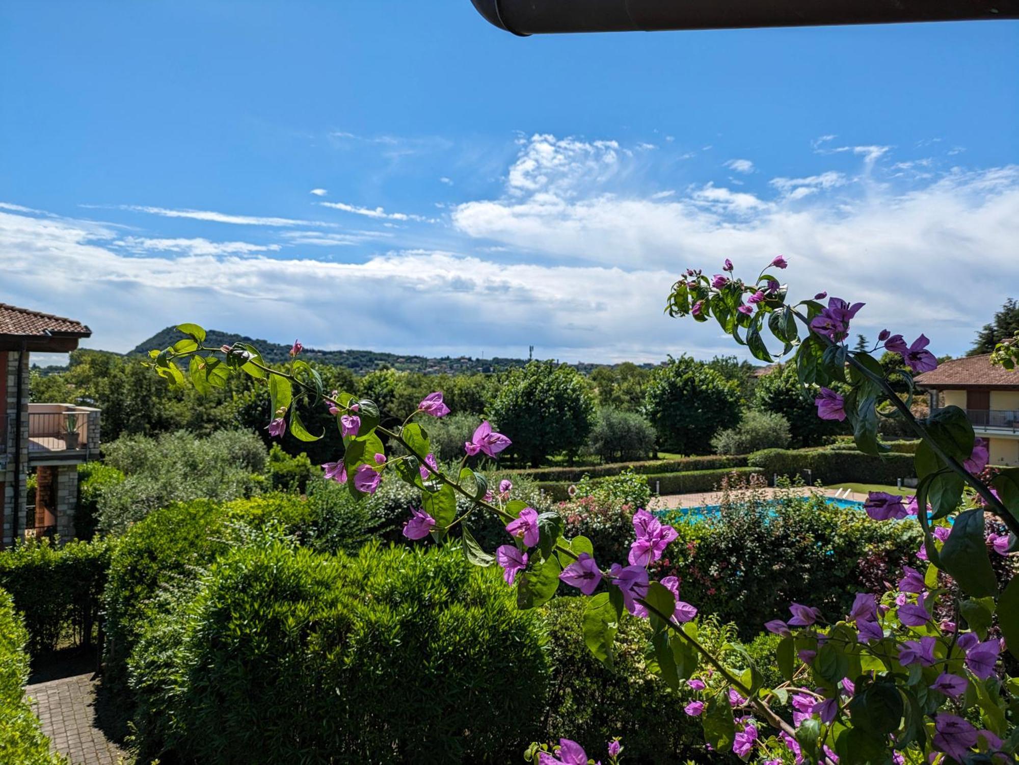 La Fenice Holiday Apartment Manerba del Garda Exterior foto
